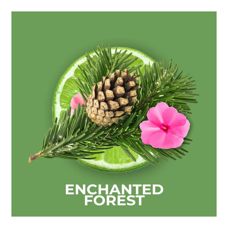 Parfum Enchanted Forest