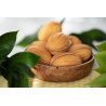 Parfum Walnut Leaf